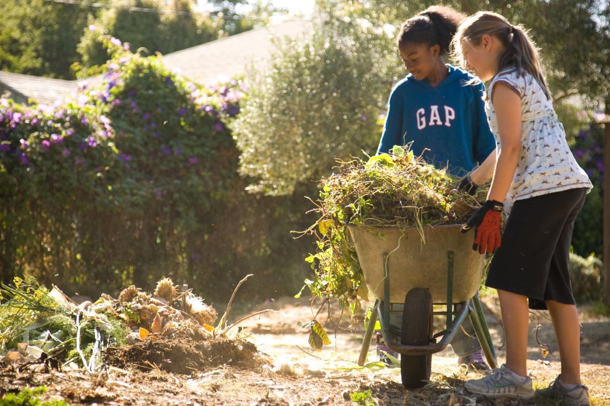 Berkeley | The Edible Schoolyard Project